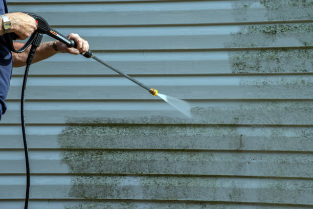 Best Roof Cleaning and Mildew Removal in University Center, VA