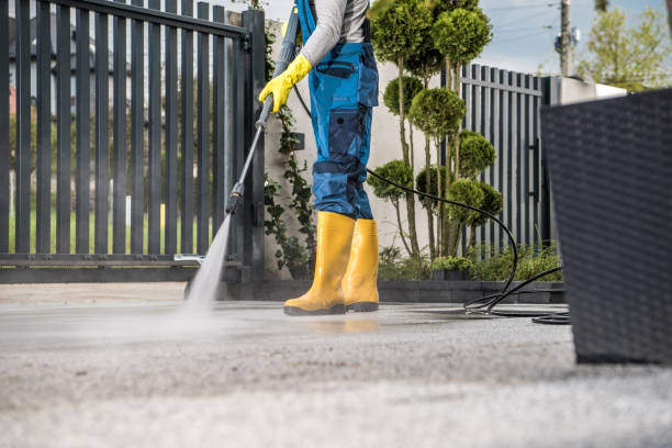 Best Driveway Cleaning and Restoration in University Center, VA